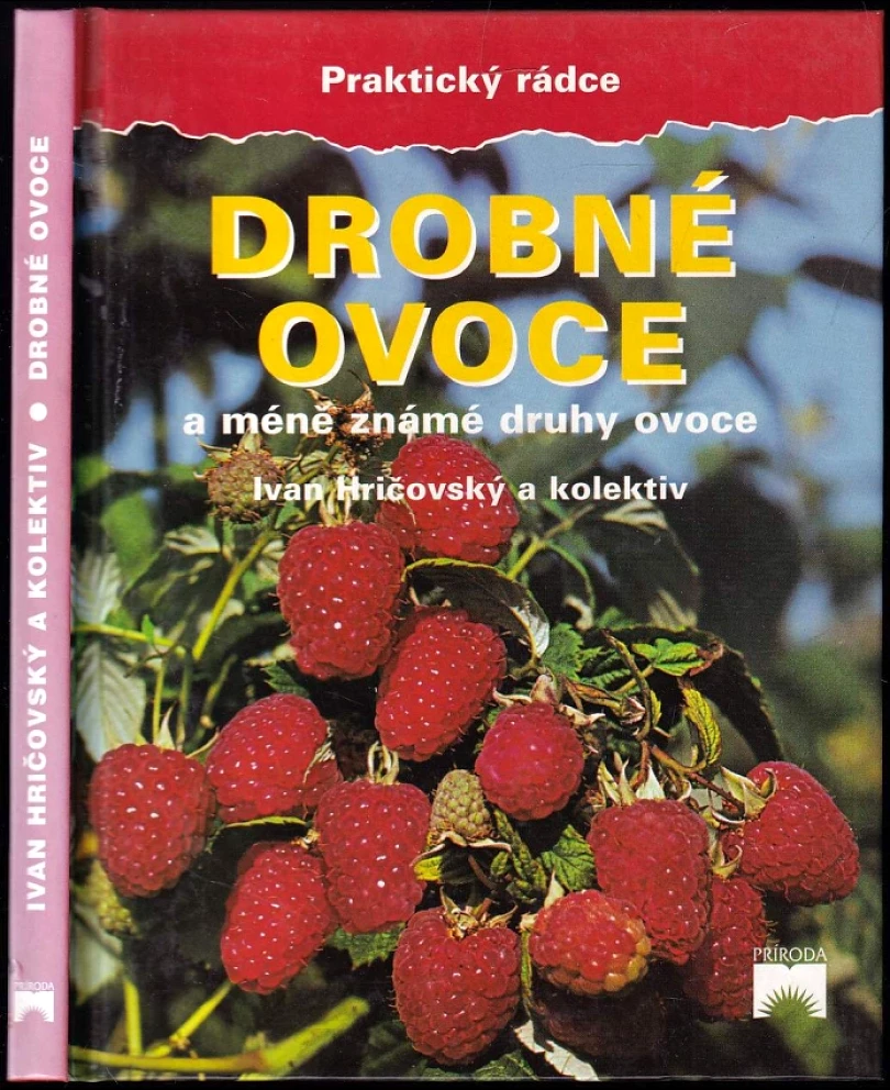 Drobné ovoce a méně známé druhy ovoce (Ivan Hričovský, 2002)