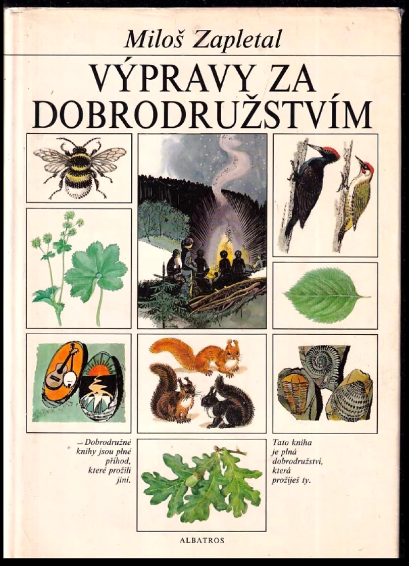 Levně Drsný chlapík (, 1985)