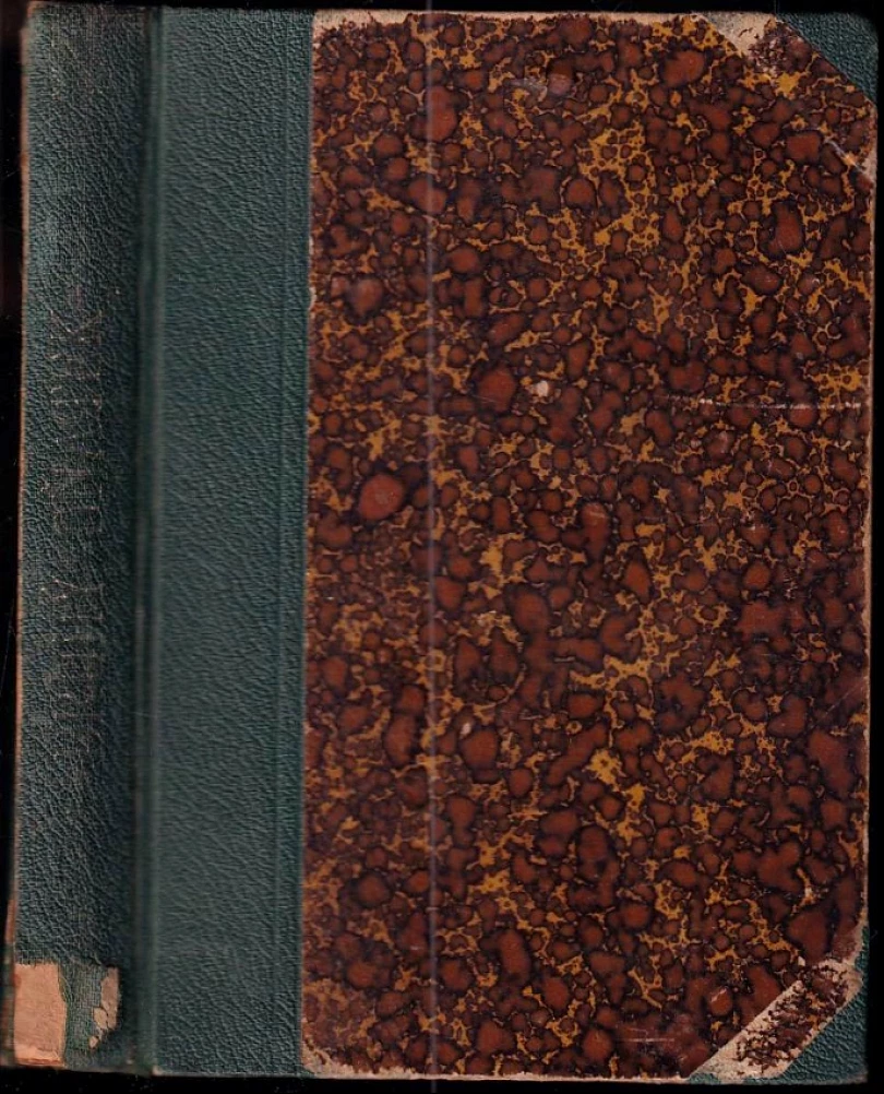 Levně Druhý sňatek (Alois Dostál, 1898)