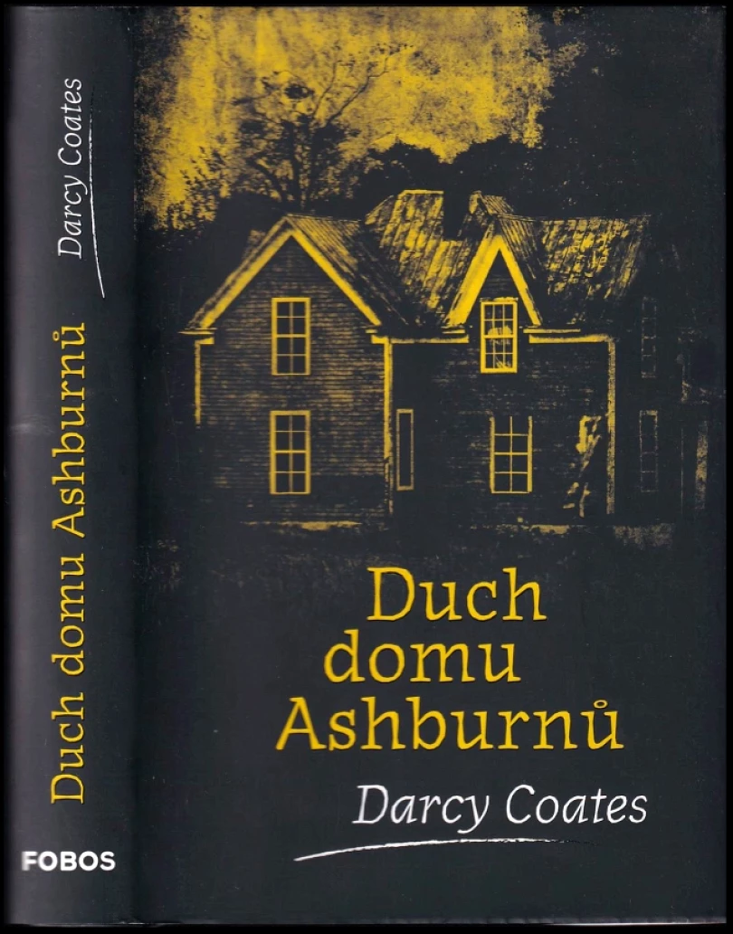 Levně Duch domu Ashburnů (Darcy Coates, 2019)
