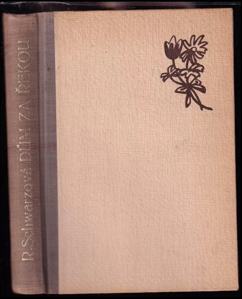 Levně Dům za řekou (Růžena Schwarzová, 1947)