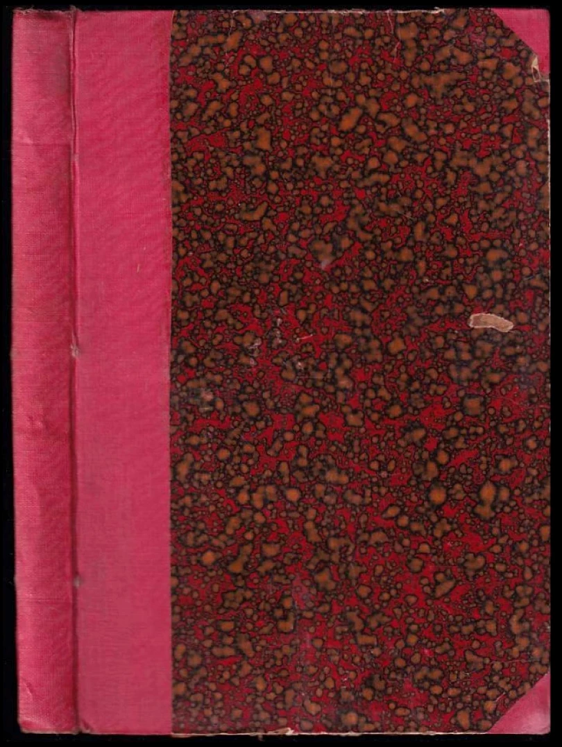 Levně Dva roky prázdnin (Jules Verne, 1921)