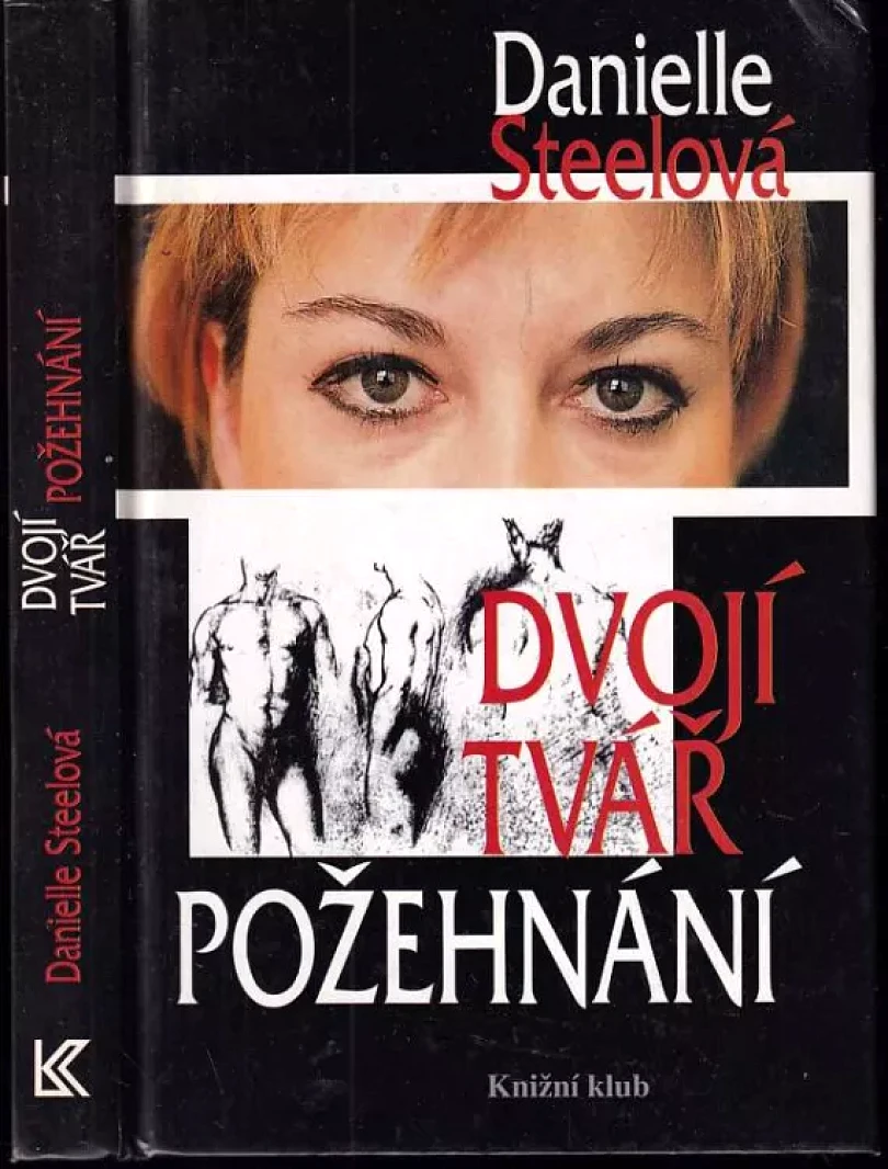 Levně Dvojí tvář požehnání (Danielle Steel, 1994)