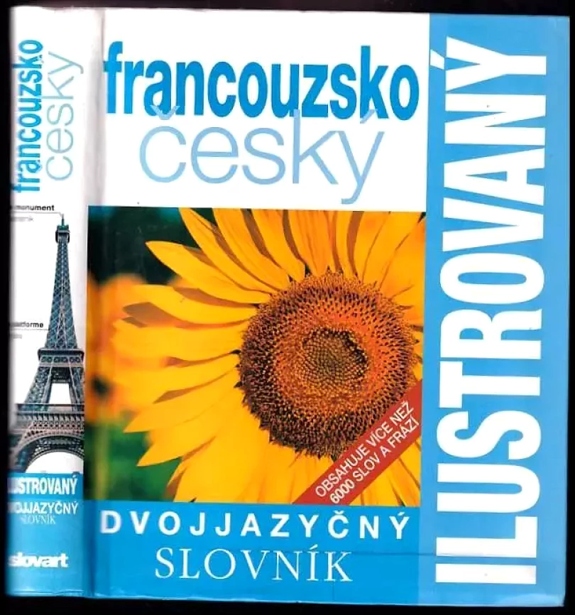 Levně Dvojjazyčný ilustrovaný slovník (, 2006)