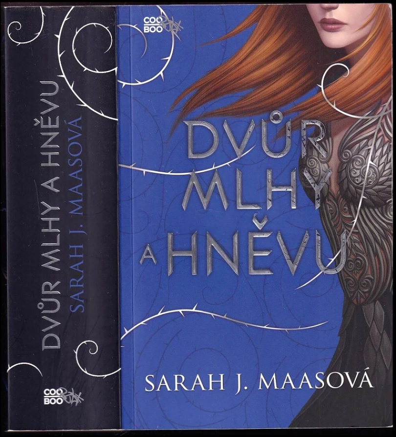 Dvůr mlhy a hněvu (Sarah J Maas, 2017)
