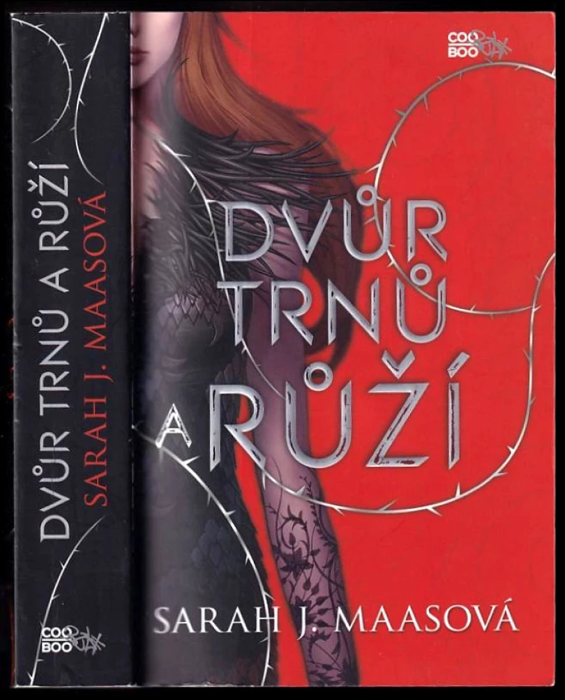 Levně Dvůr trnů a růží (Sarah J Maas, 2016)