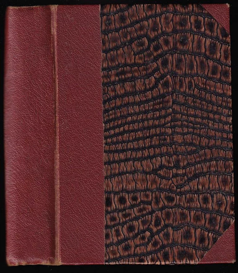 Dýka a jed (Alexandre Dumas, 1922)