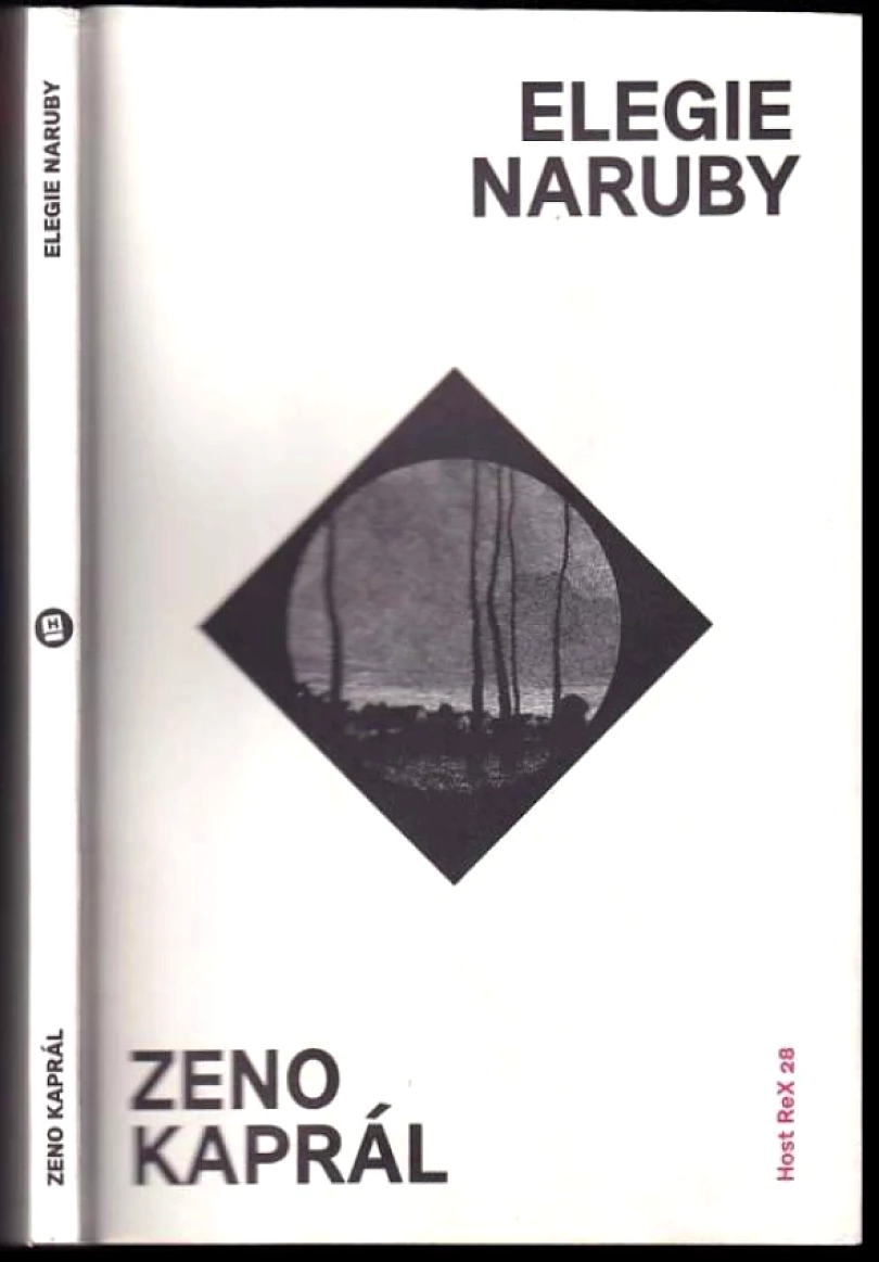 Levně Elegie naruby (Zeno Kaprál, 2019)