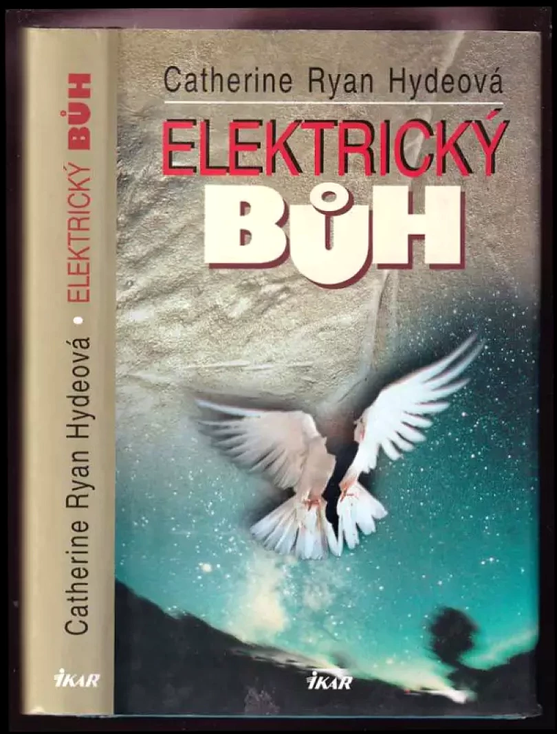 Levně Elektrický bůh (Catherine Ryan Hyde, 2002)