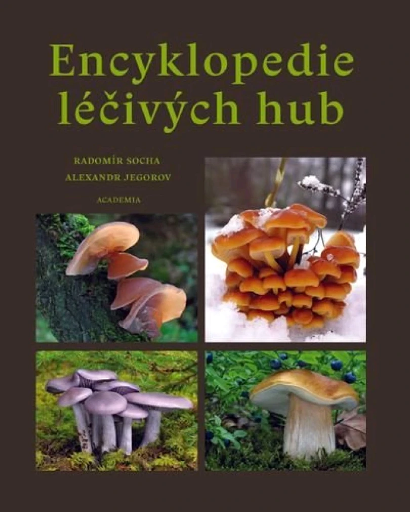 Levně Encyklopedie léčivých hub (Radomír Socha, 2025)