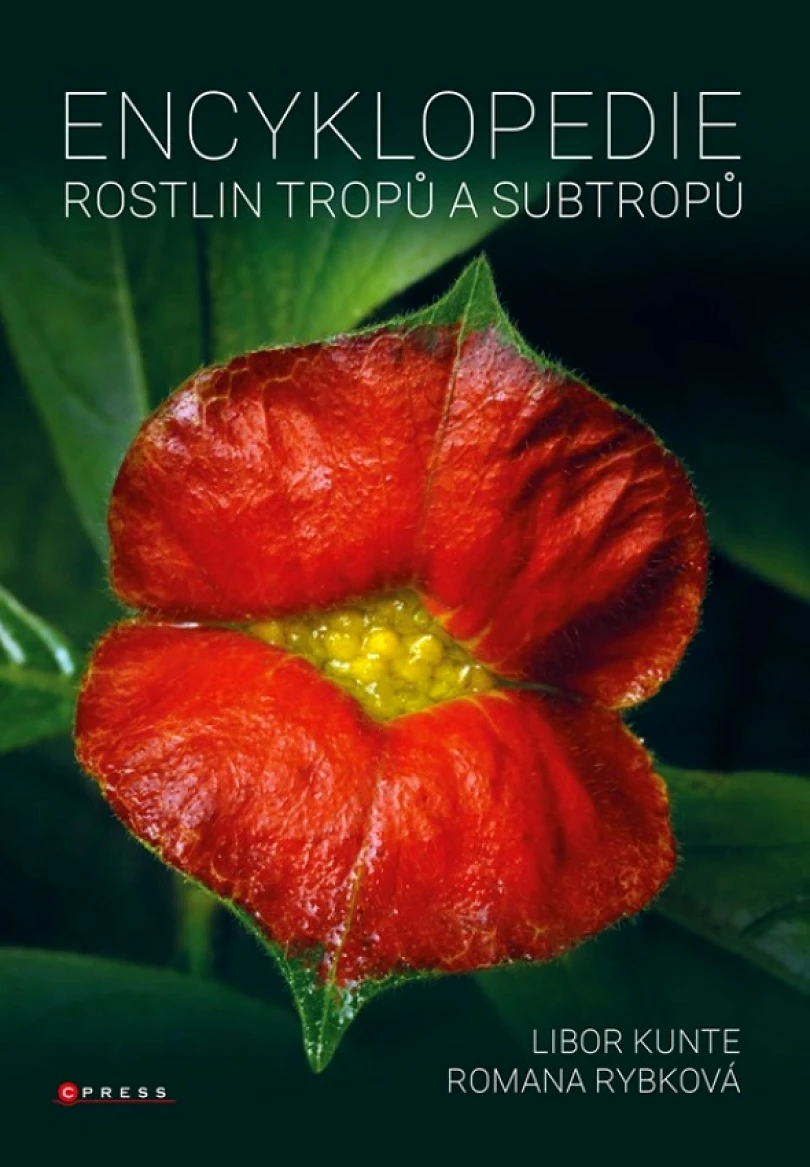 Levně Encyklopedie rostlin tropů a subtropů (Libor Kunte, 2023)