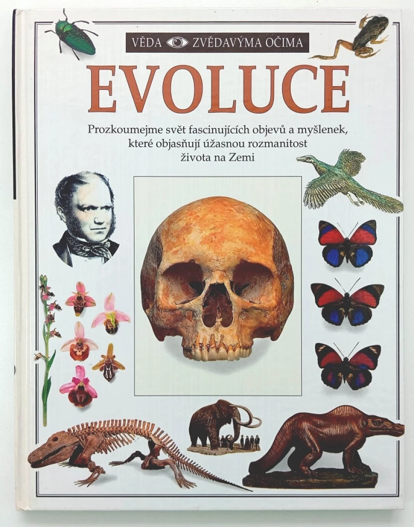 Levně Evoluce (Linda Gamlin, 1993)