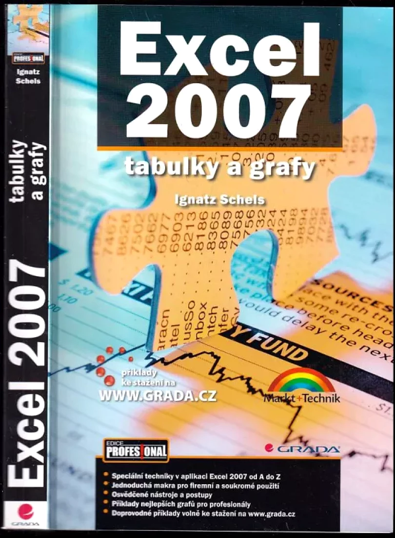Levně Excel 2007 (Ignatz Schels, 2009)