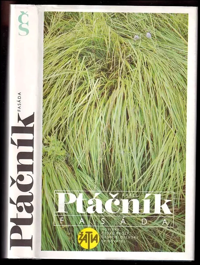 Fasáda (Karel Ptáčník, 1987)