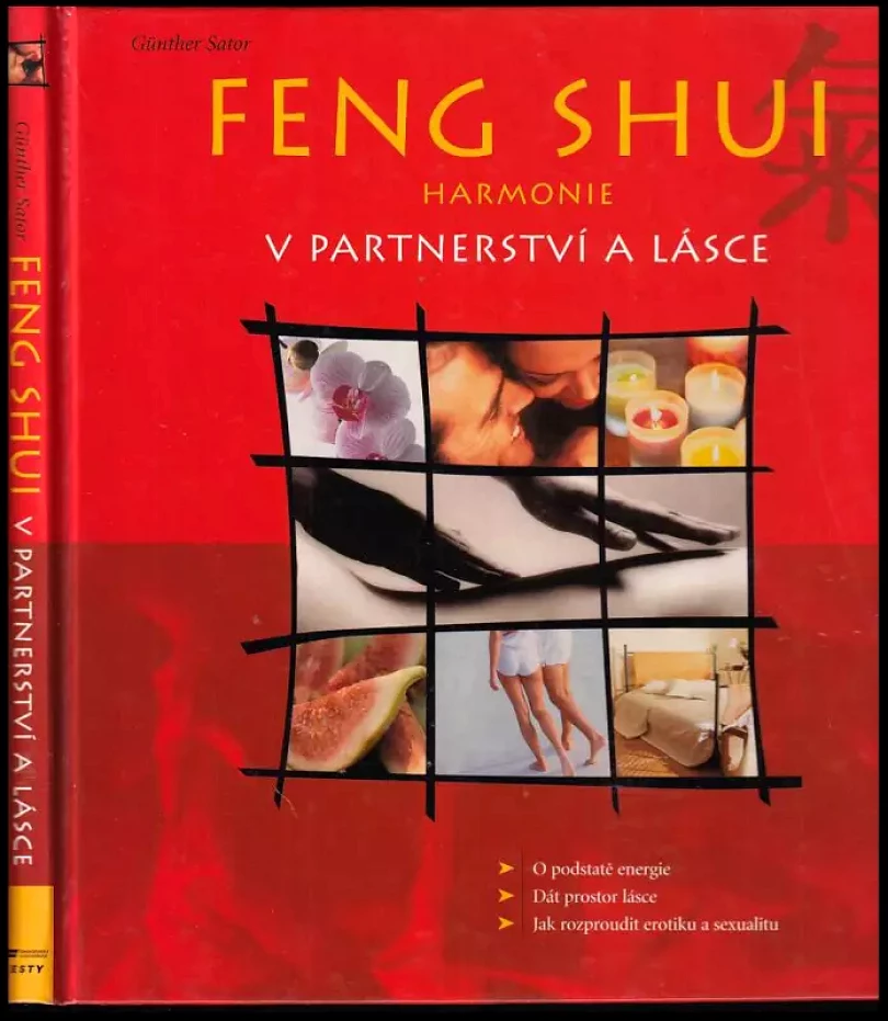 Feng shui (Günther Sator, 2002)