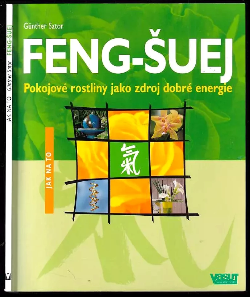 Levně Feng-šuej (Günther Sator, 2003)