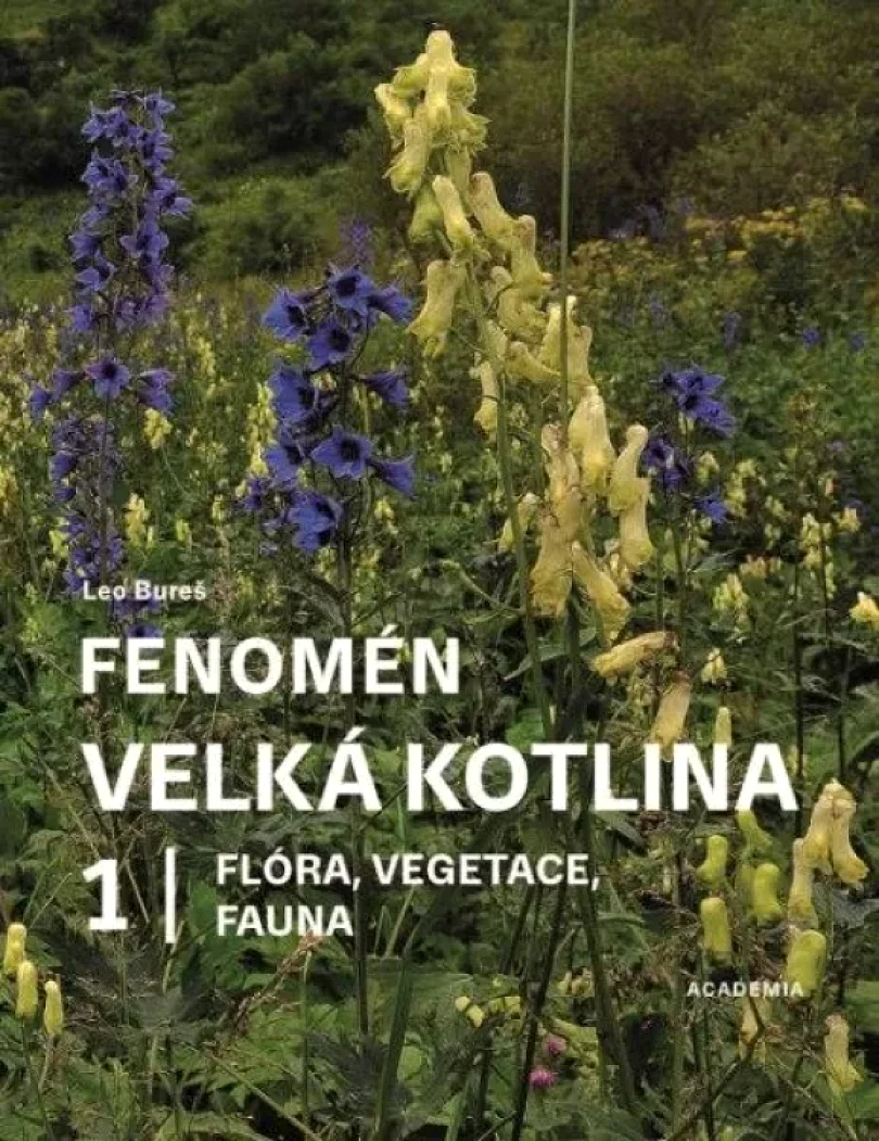 Levně Fenomén Velká kotlina (Leo Bureš, 2022)