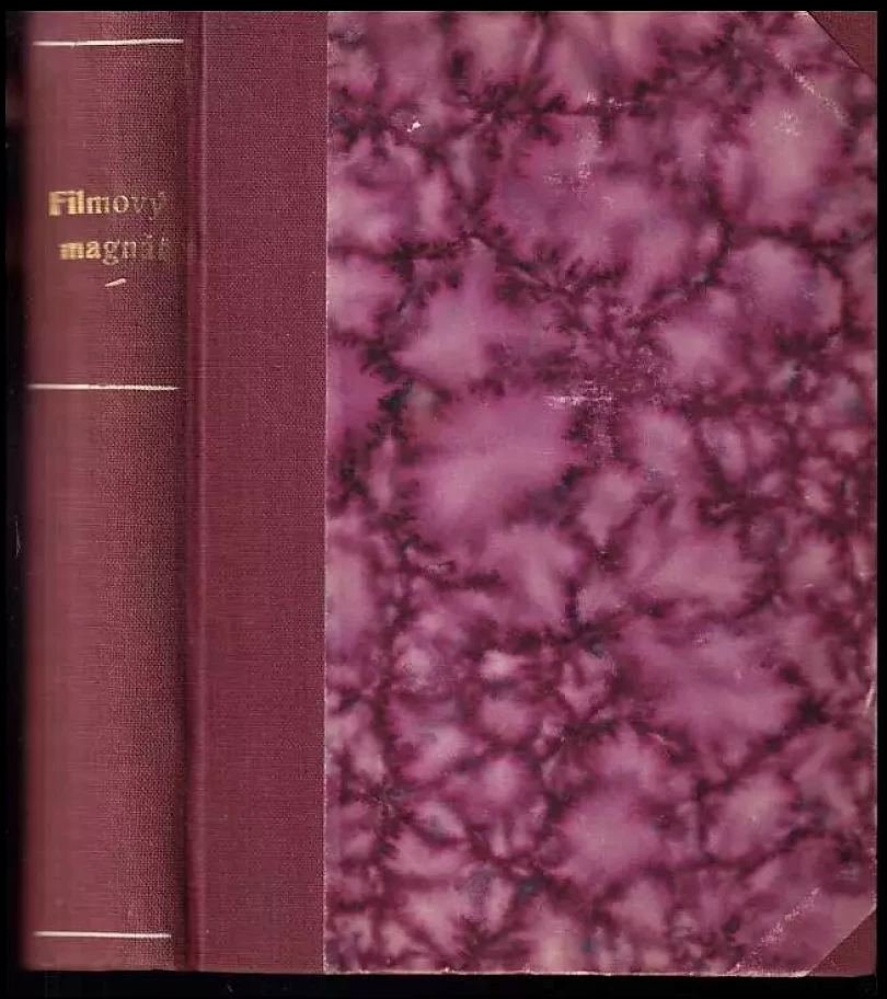 Filmový magnát - realistický román z americ. světa filmu a financí (George Randolph Chester, 1925)