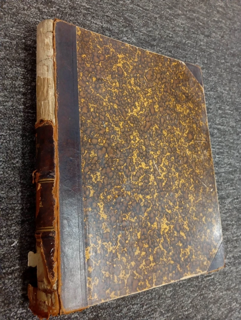 Fliegende Blätter Band CXX., N. 3049-3074 (, )