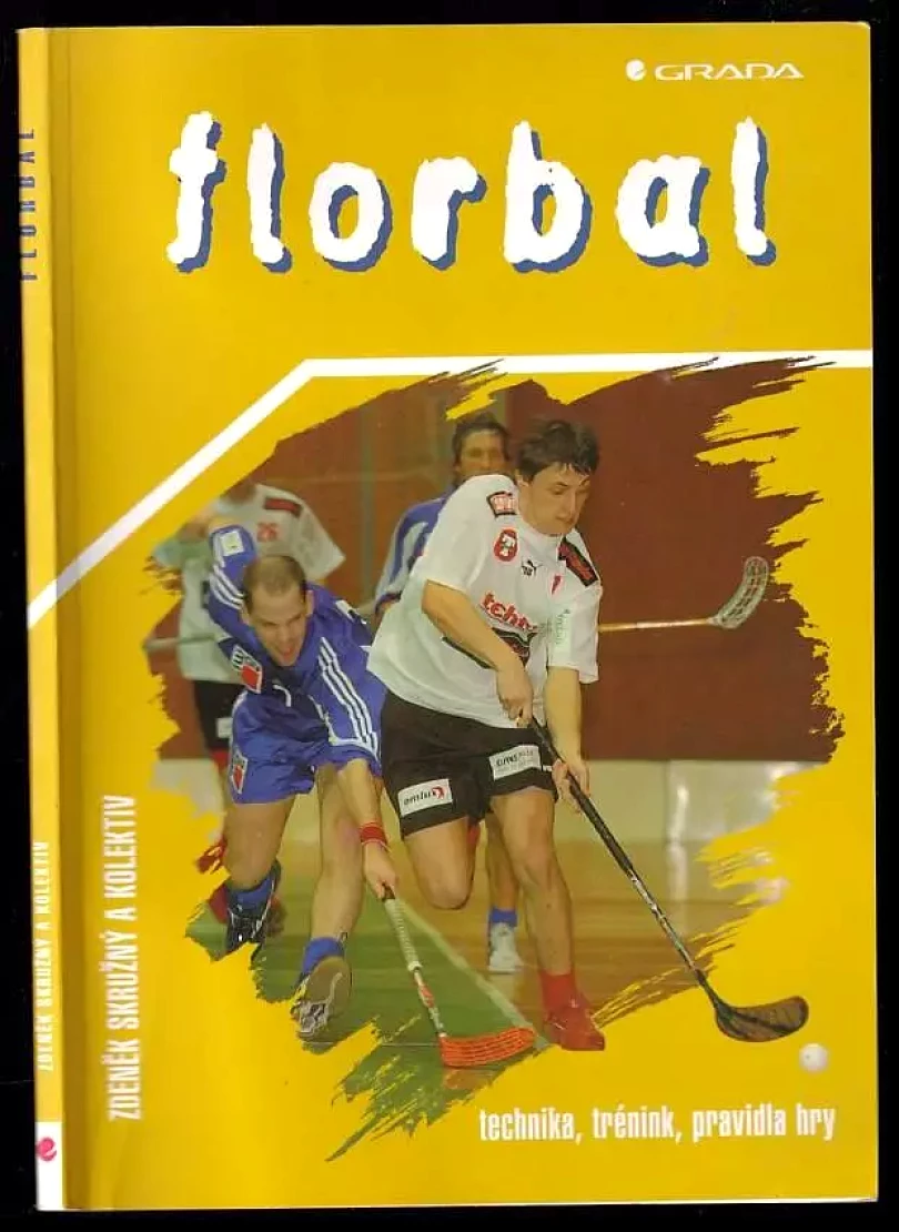 Florbal (Zdeněk Skružný, 2005)