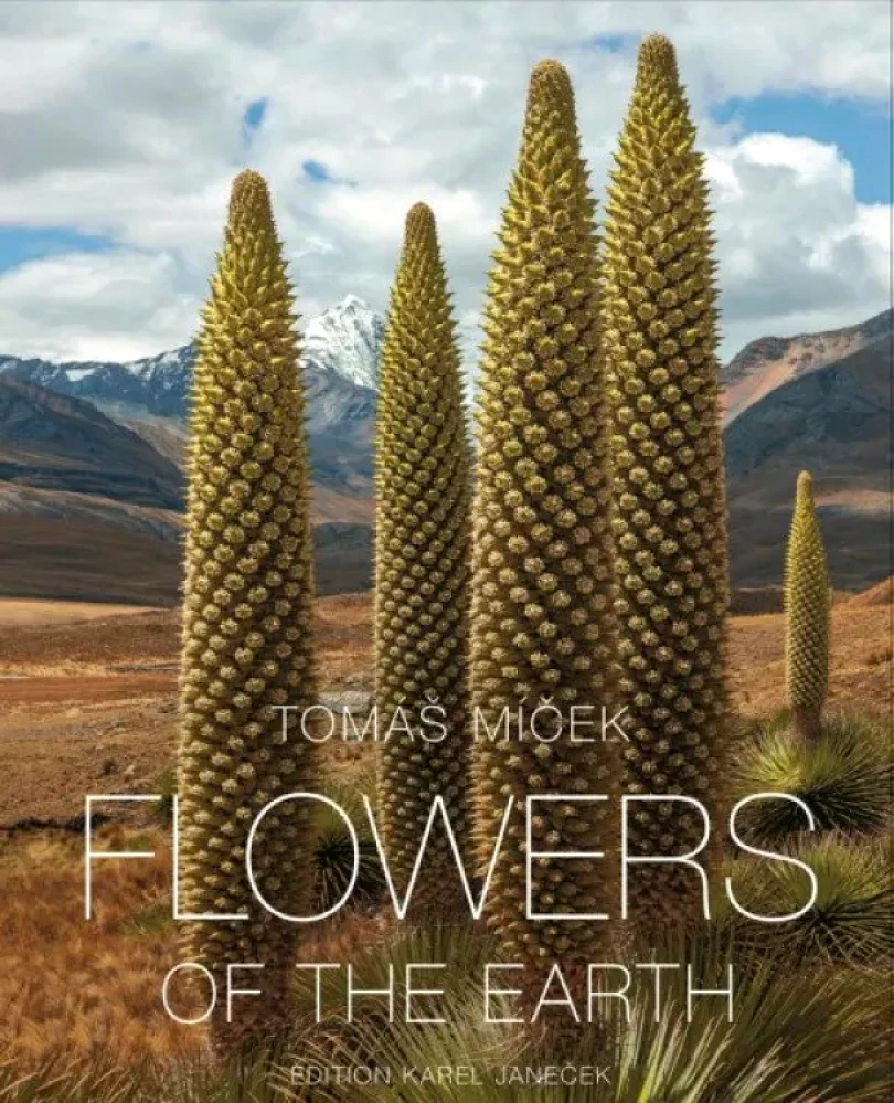 Levně Flowers of the Earth (, 2021)