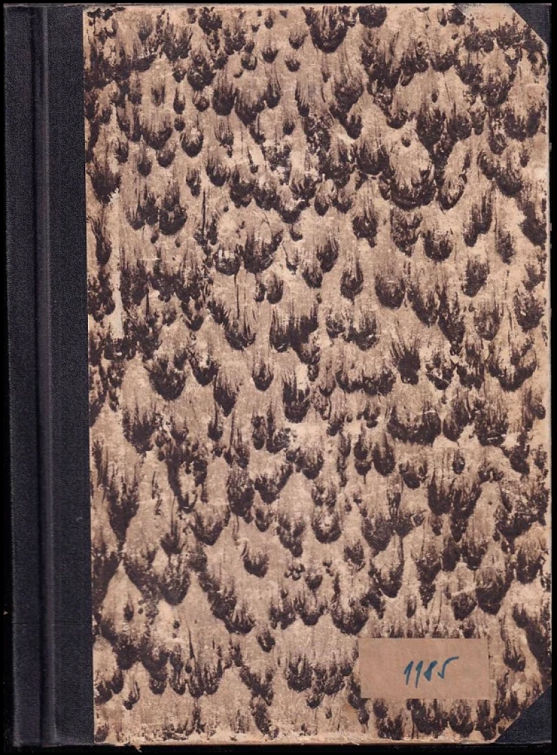 Levně Fotografie (Jaroslav Šimek, 1965)