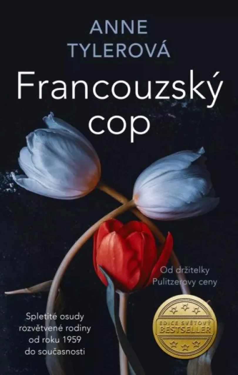 Francouzský cop (Anne Tyler, 2023)