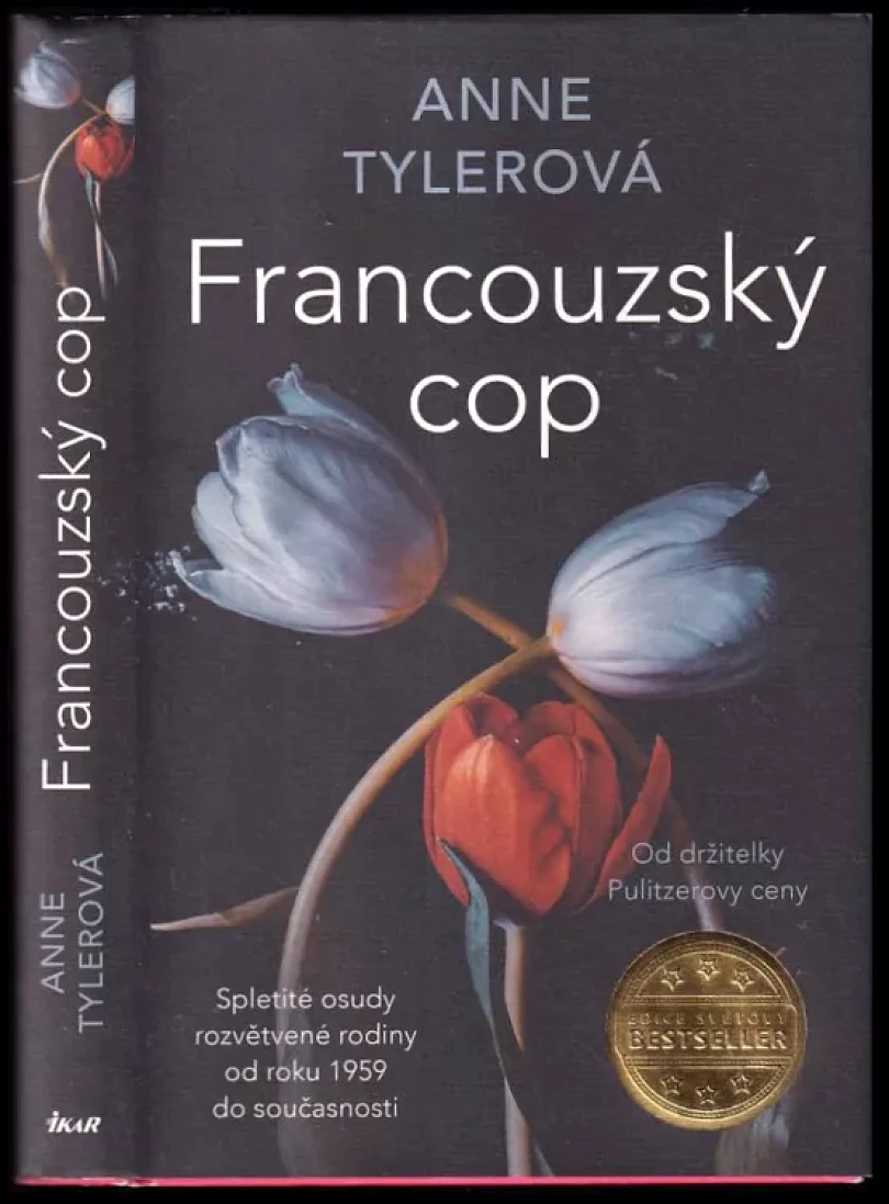 Francouzský cop (Anne Tyler, 2023)