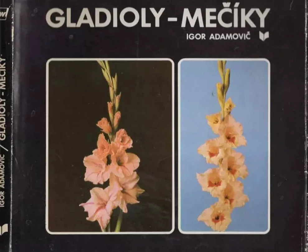 Gladioly-mečíky (Igor Adamovič, 1983)