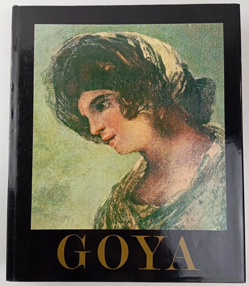 Goya (José Gudiol, 1982)