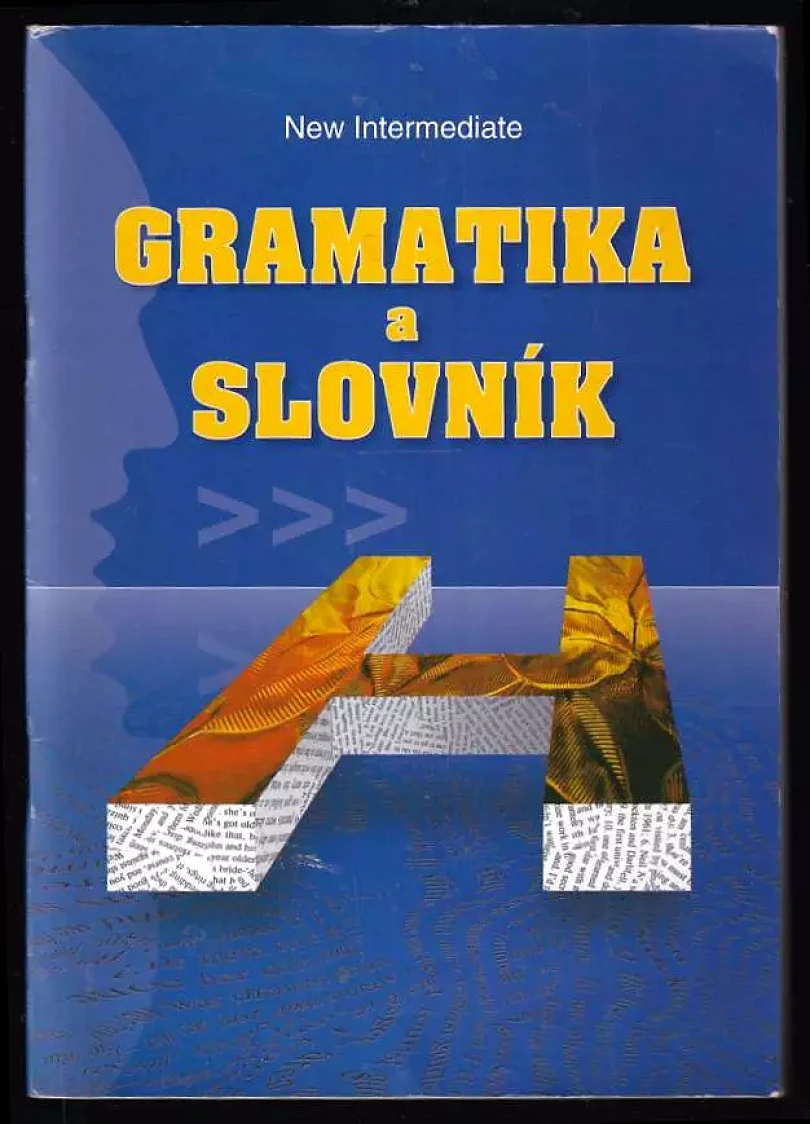 Gramatika a slovník (Zdeněk Šmíra, 2005)