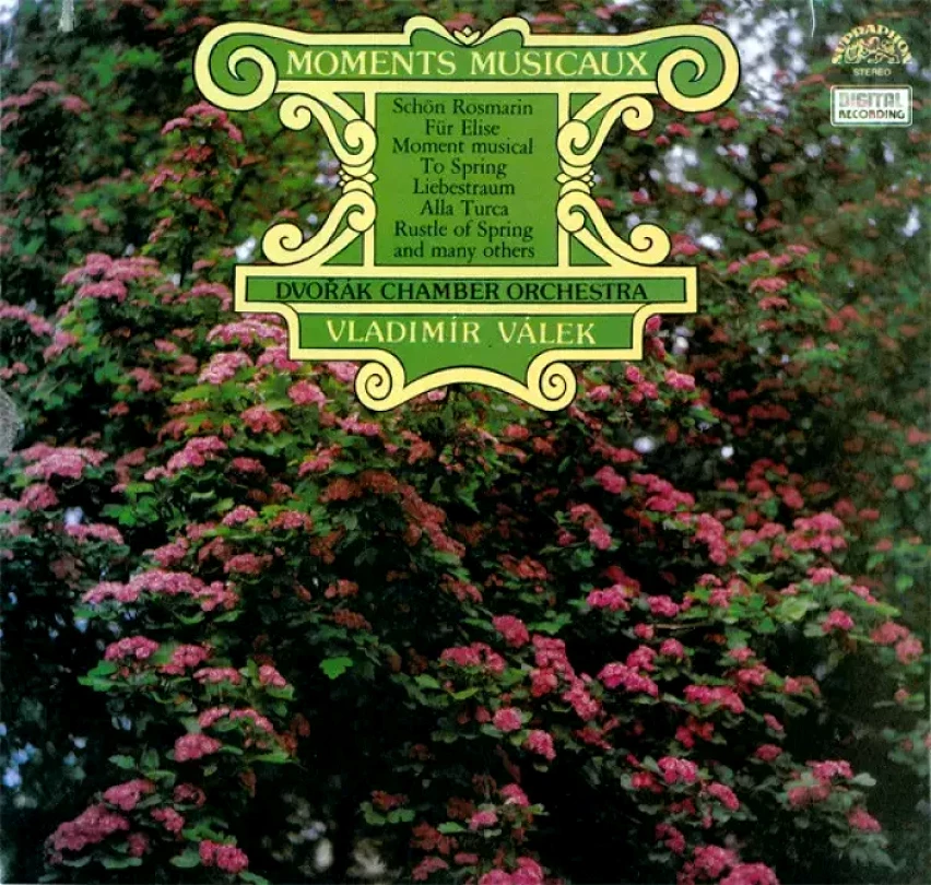 Levně Moments Musicaux (90/1) (Dvořák Chamber Orchestra, 1989)