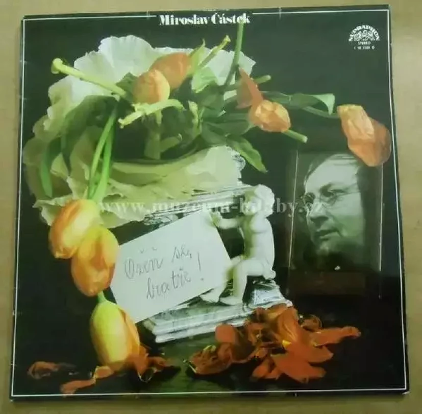 Levně Ožeň Se, Bratře! (Miroslav Částek, 1978)