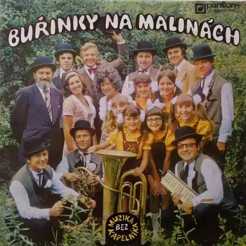 Levně Buřinky Na Malinách (Muzika Bez Kapelníka, 1973)