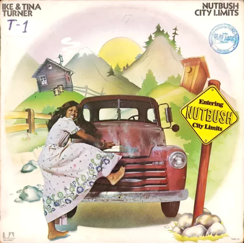Levně Nutbush City Limits (Ike & Tina Turner, 1975)