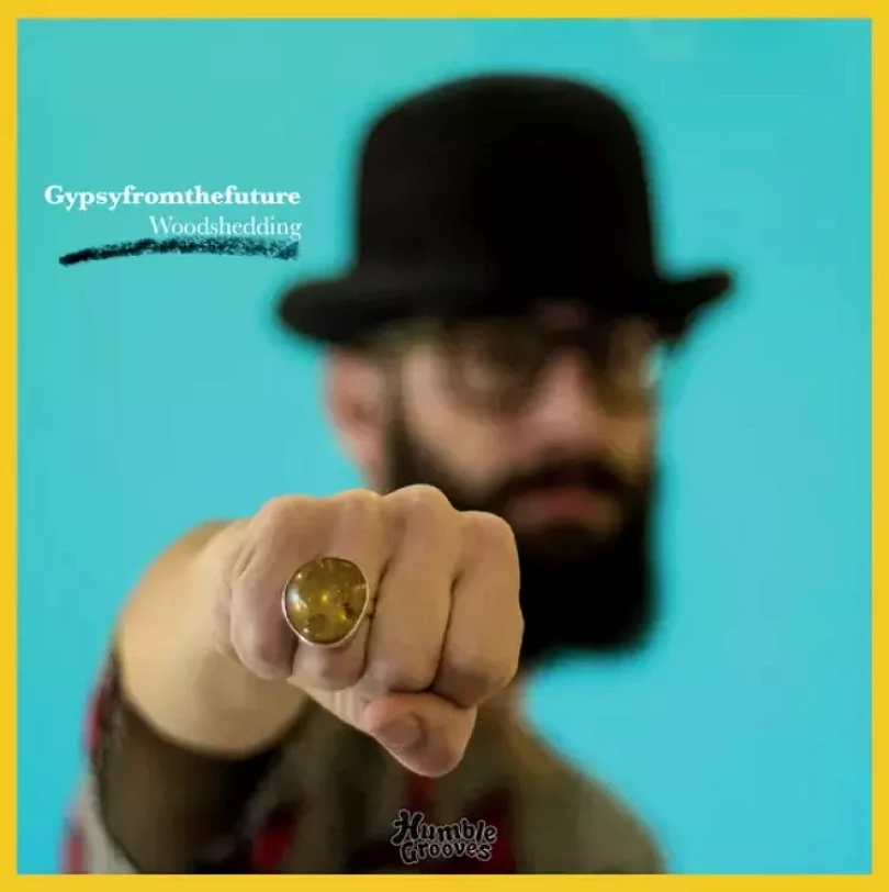 Levně Woodshedding (Gypsyfromthefuture, 2015)