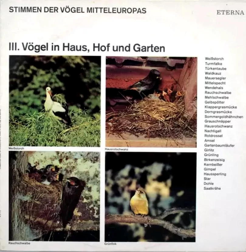 Levně Stimmen Der Vögel Mitteleuropas - III. Vögel In Haus, Hof Und Garten (No Artist, 1978)