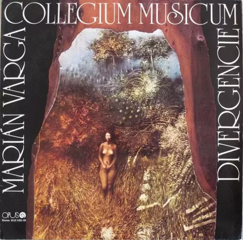 Levně Divergencie (2xLP) (Collegium Musicum, 1982)