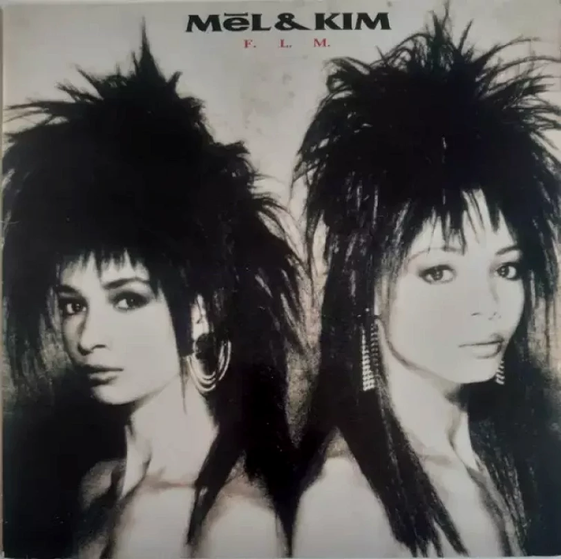 Levně F.L.M. (Mel & Kim, 1987)