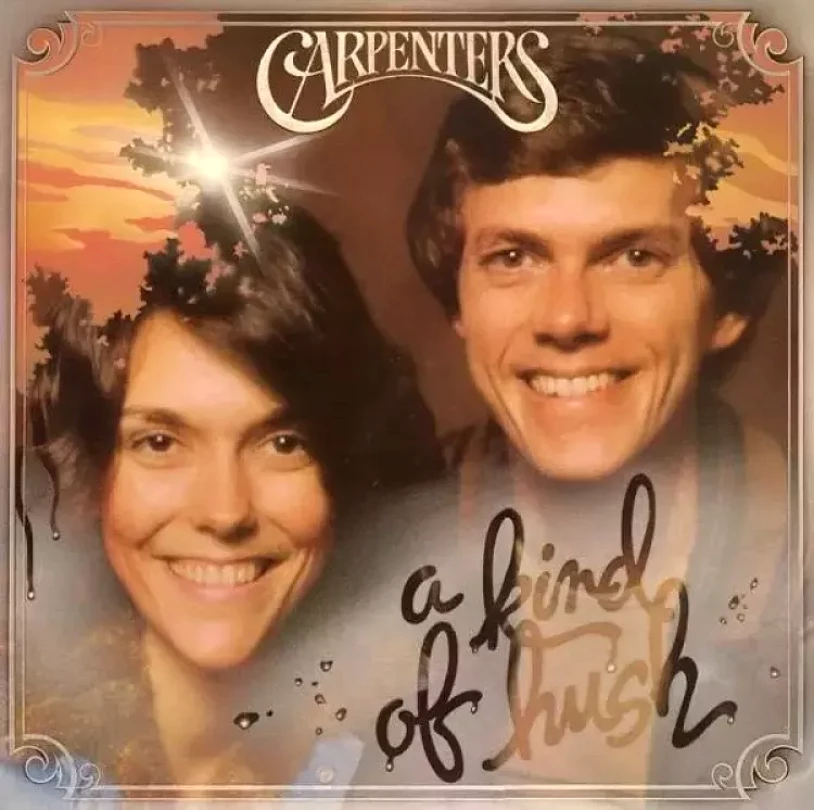 Levně A Kind Of Hush (Carpenters, 1976)