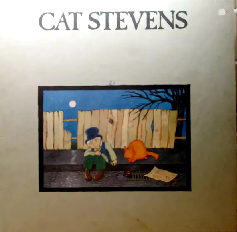 Levně Teaser And The Firecat (Cat Stevens, 1978)