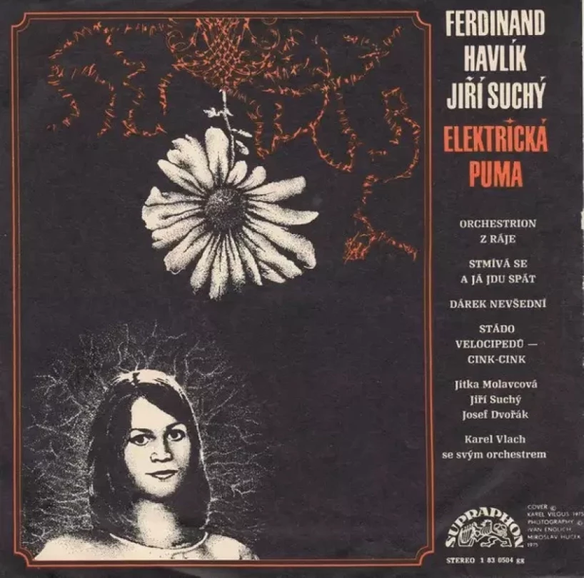 Levně Elektrická Puma (Jiří Suchý, 1979)
