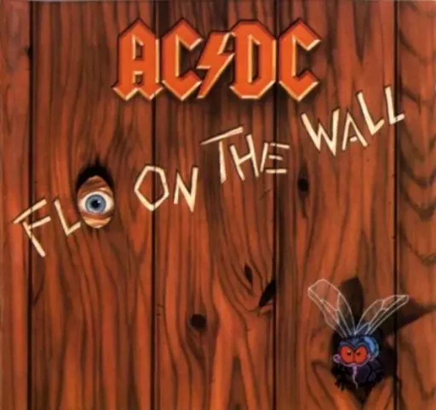 Levně Fly On The Wall (AC/DC, 1985)