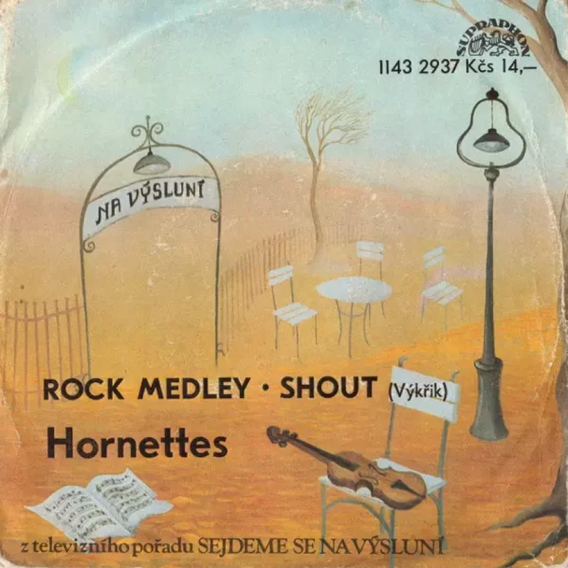 Levně Rock Medley • Shout (Výkřik) (The Hornettes, 1984)