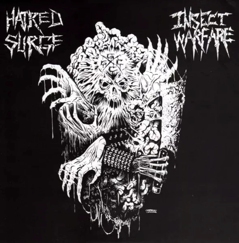 Levně Insect Warfare / Hatred Surge (Insect Warfare, 2006)