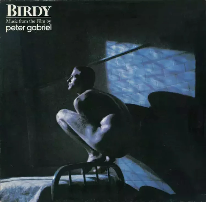 Levně Birdy (Music From The Film By Peter Gabriel) (Peter Gabriel, 1985)