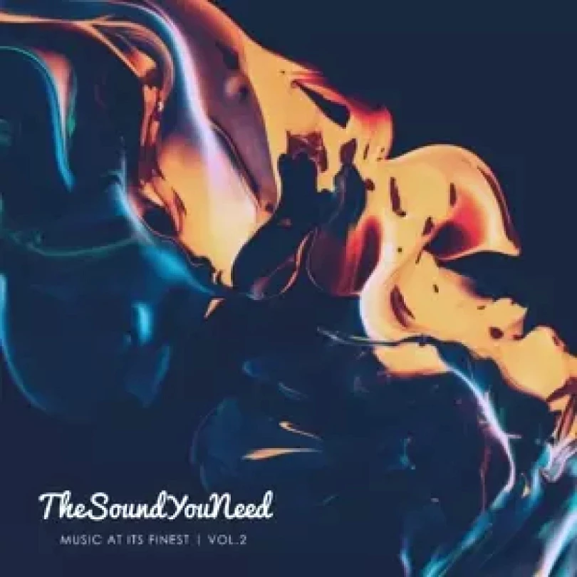 Levně TheSoundYouNeed: Music At Its Finest Vol.2 LTD (Various, 2015)