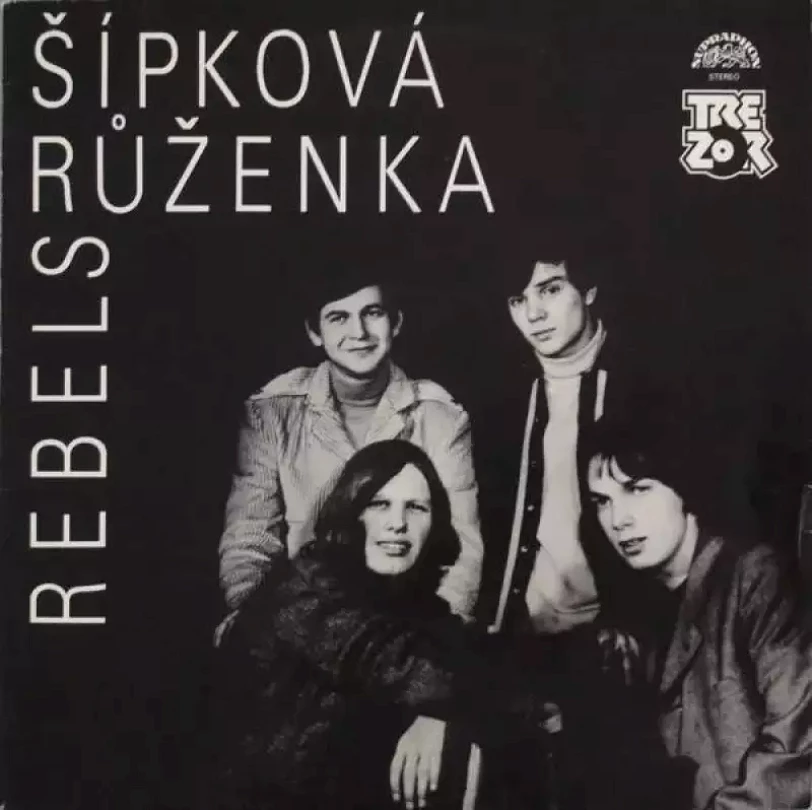 Levně Šípková Růženka (Rebels, 1990)