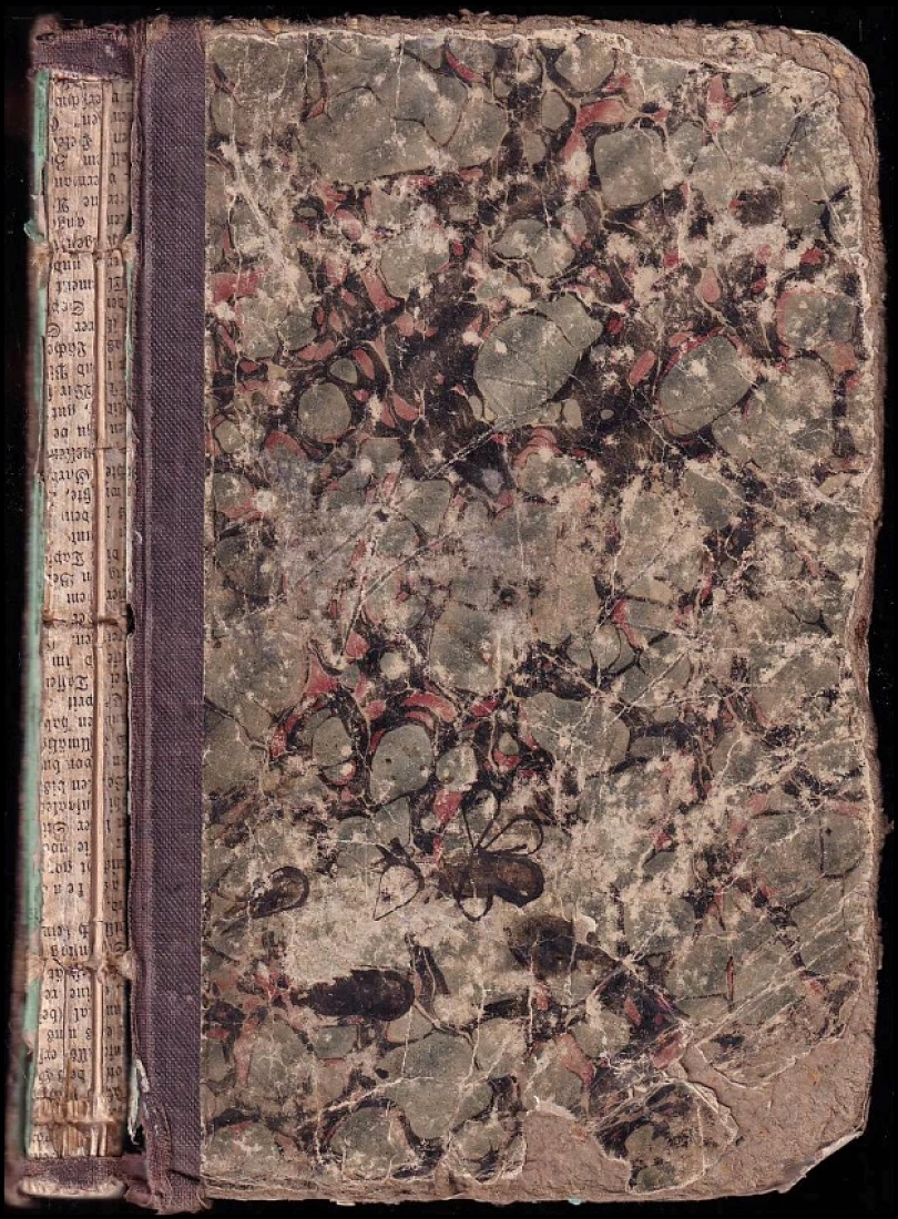 Grundzüge der neuhochdeutschen Grammatik für hhere Bildungs-Anstalten (Friedrich Bauer, 1965)