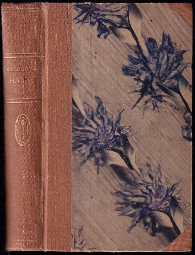 Levně Haldy (Anna Maria Tilschová, 1927)